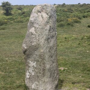 Standing Stone Aura Raines